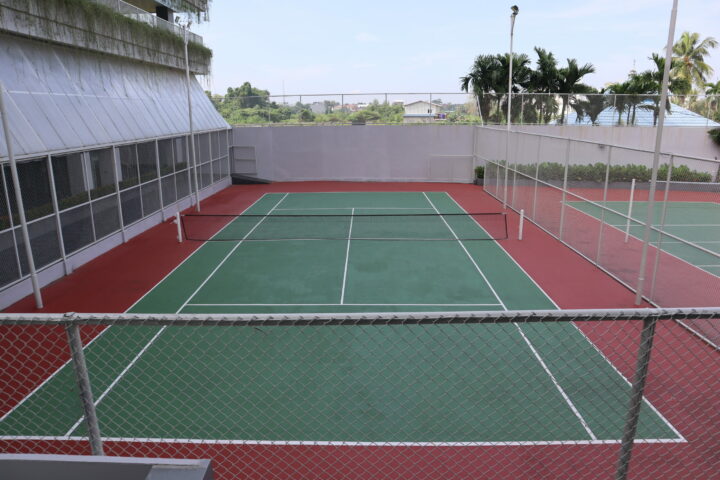 Tenis